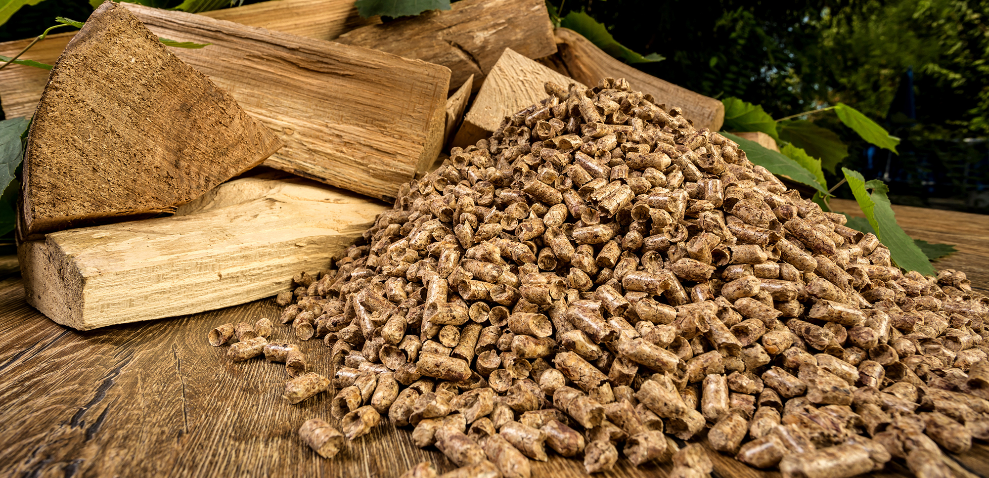 Etablissement Forestier Berisha