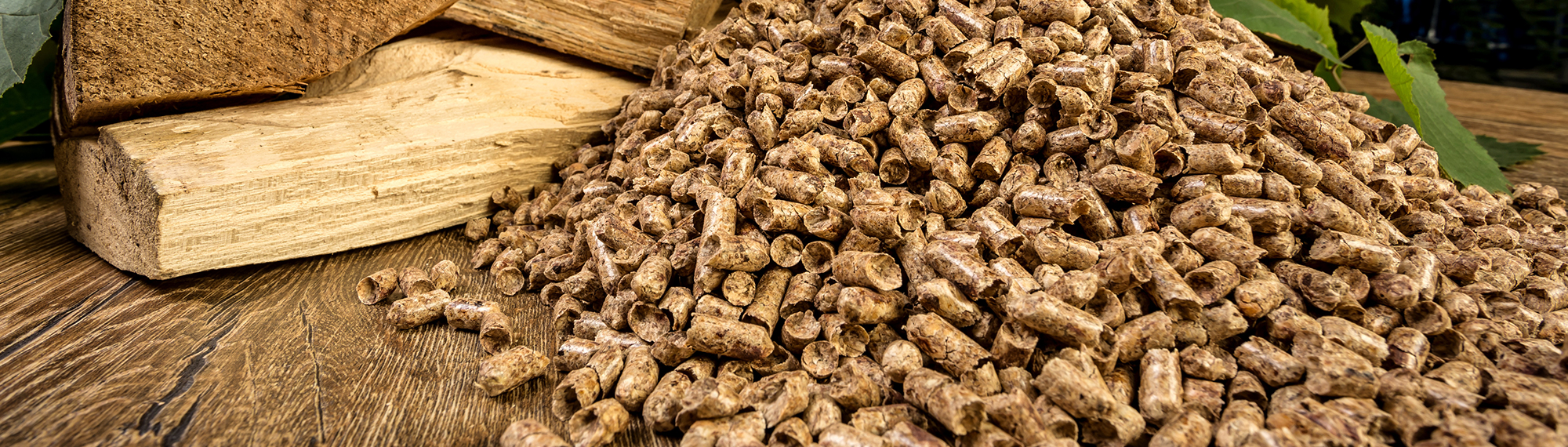 Etablissement Forestier Berisha